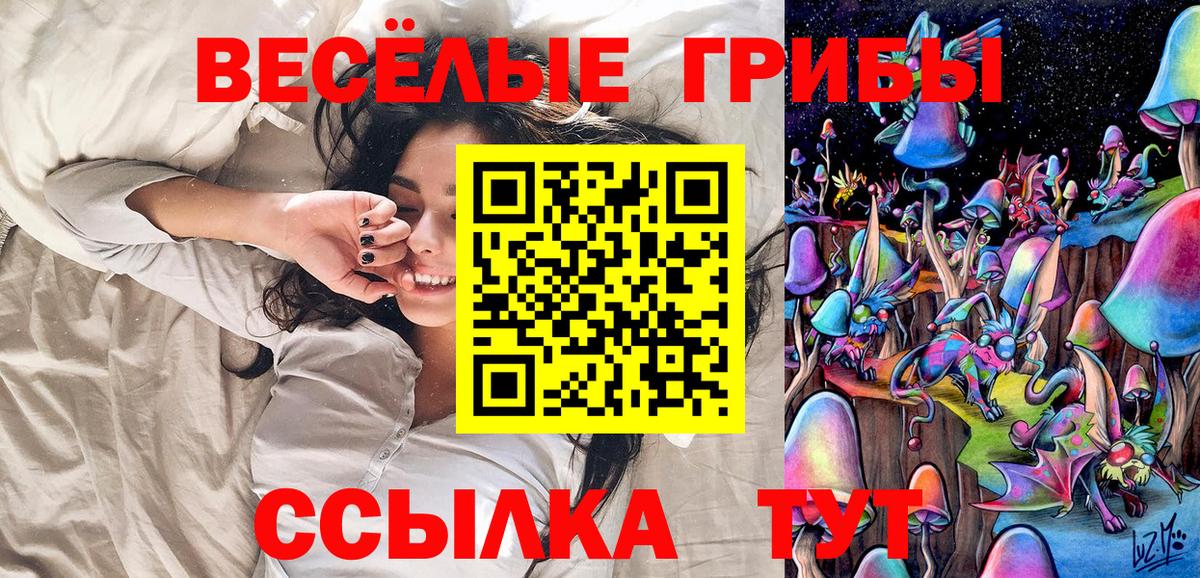 наркотики  Вход с VPN  Новотроицк  Псилоцибиновые грибы ЛСД 