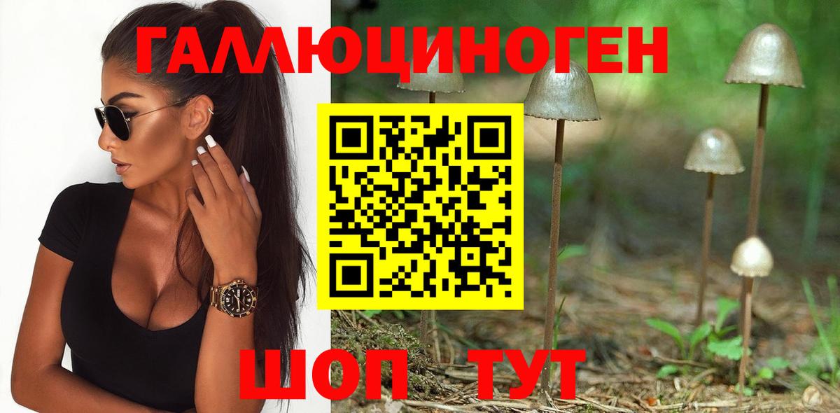 Псилоцибиновые грибы мицелий Новотроицк